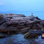 Delfini 2*