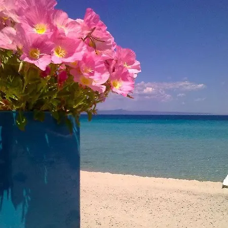 Delfini Hotel